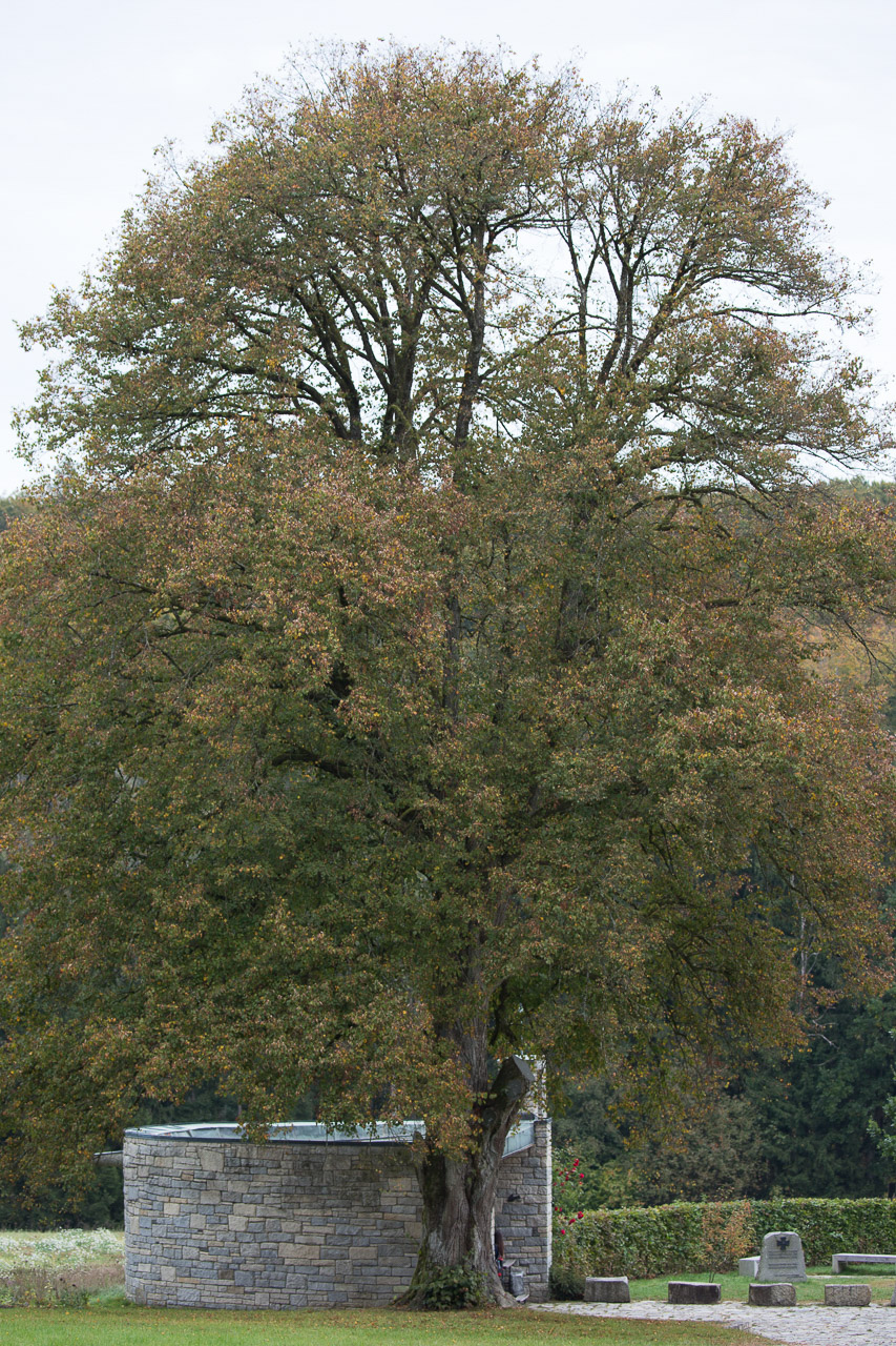 20231014100726 3K6A2163